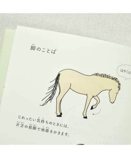 ウマと話すための７つのひみつ｜河田桟