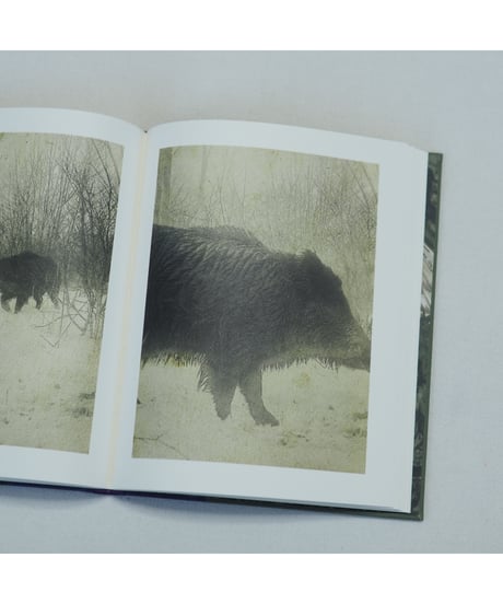 Night Procession｜Stephen Gill