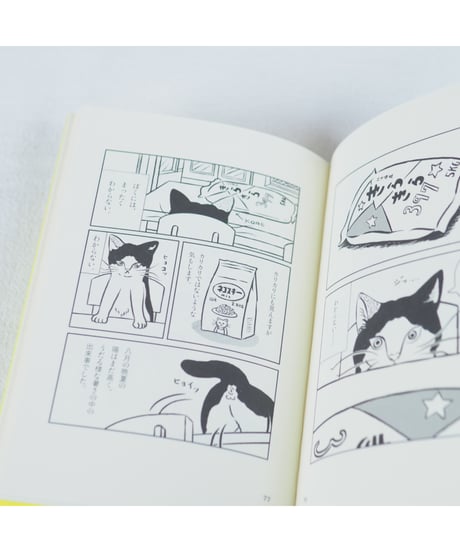 【イラストサイン入】ちゃっくん ｜水沢そら