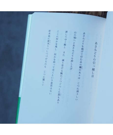 アン・ドヒョン詩選集 あさみどりの引っ越し日｜アン・ドヒョン 五十嵐真希／編・訳