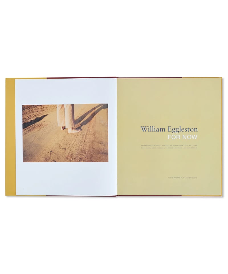 FOR NOW｜William Eggleston | button