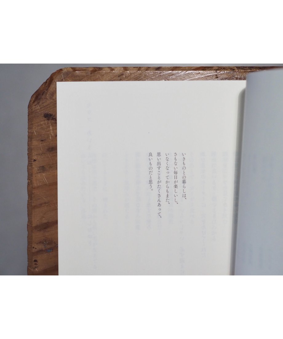 6097e898da019c6c61c0bcaf