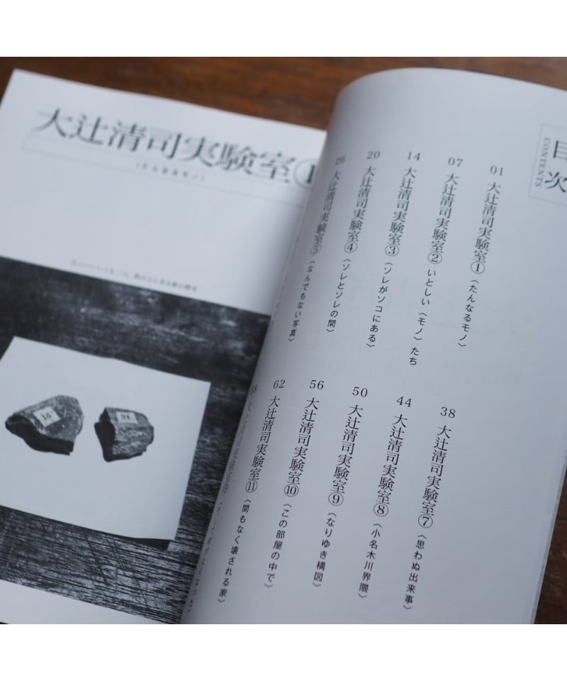 大辻清司実験室 | button