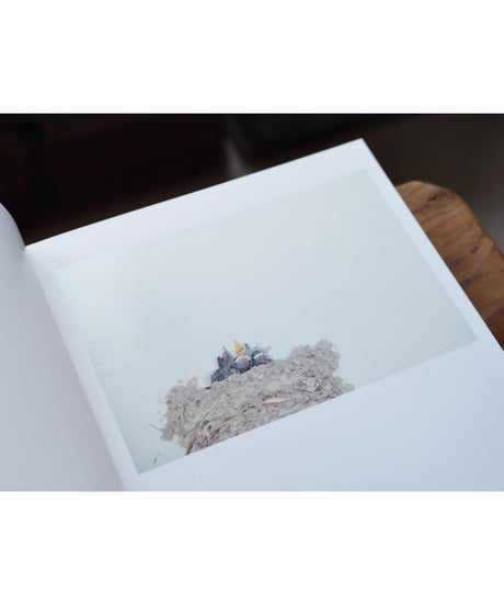 【サイン本】 Des oiseaux（On birds） /  川内倫子