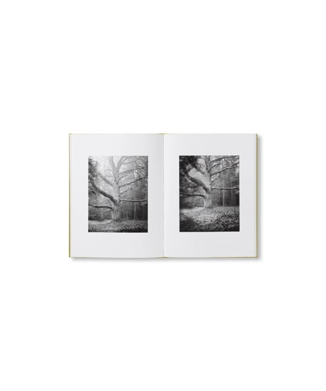 NATUR｜Michael Schmidt