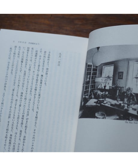 独り居の日記 新装版｜メイ・サートン 武田尚子/訳