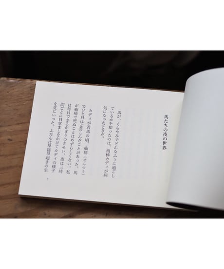 くらやみに、馬といる｜河田桟 文と写真