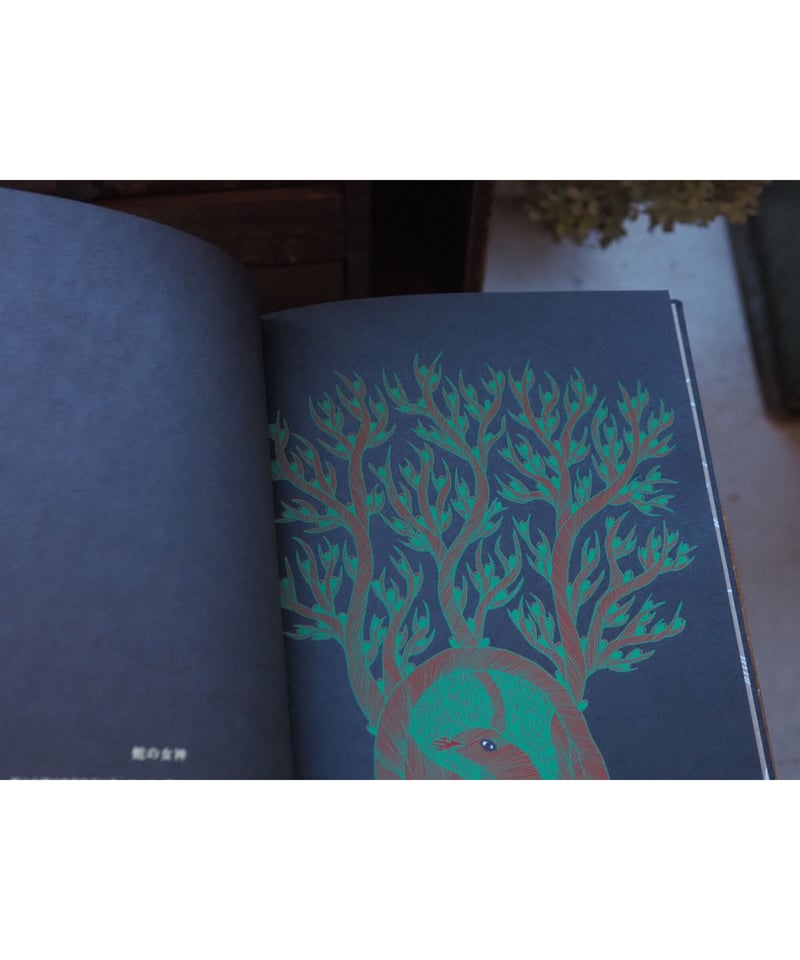 ジャガーウーマン〜蝶の木の教え 近畿日本鉄道 30000系ビスタカーセット ｜製品情報｜製品検索