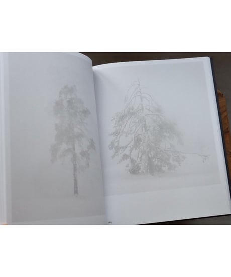 203 WORKS | Trine Søndergaard