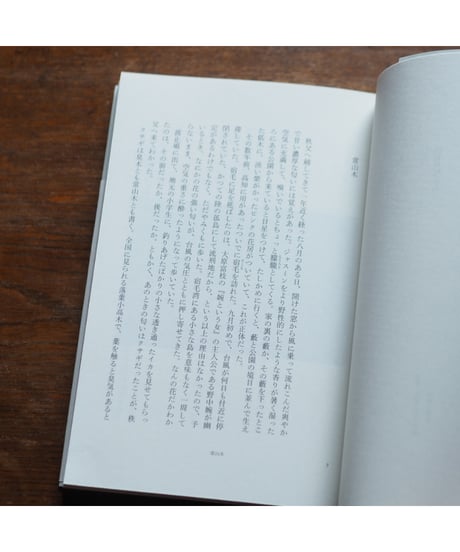 山影の町から｜笠間直穂子