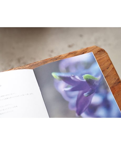 ideallife with plants 11号 植物の香り