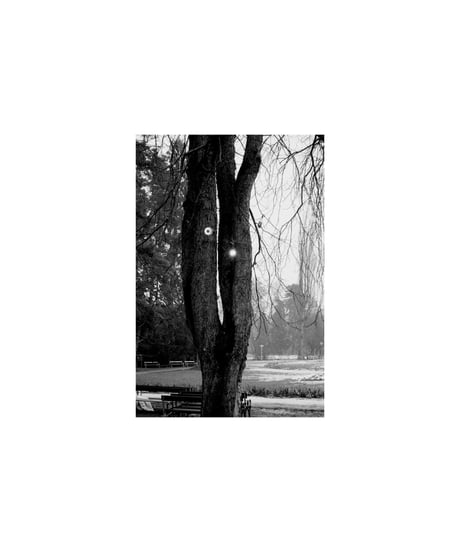 PHOTOGRAPHS (1978-1985) ｜Christine Furuya-Gössler