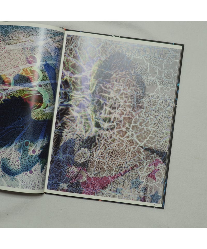 Best Before End｜Stephen Gill | button