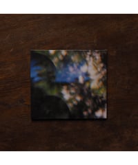【CD】Small Hours｜Altars Altars