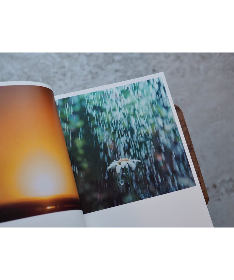 Illuminance: The Tenth Anniversary Edition｜川内倫子