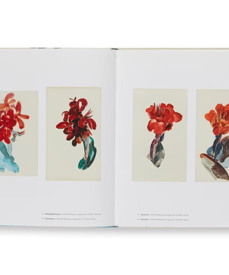 TO SEE TAKES TIME｜Georgia O'Keeffe