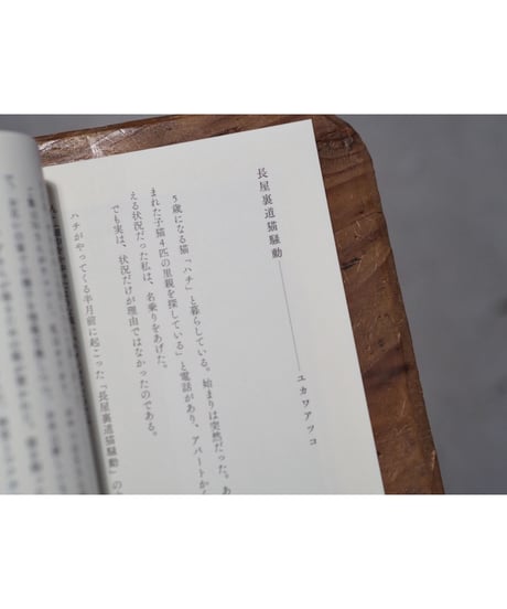 ちいさないきものと日々のこと