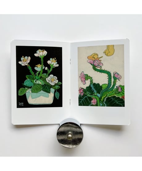 植物生活 Life with plant life｜イケガミヨリユキ