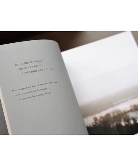 Elias Forest / 津田直
