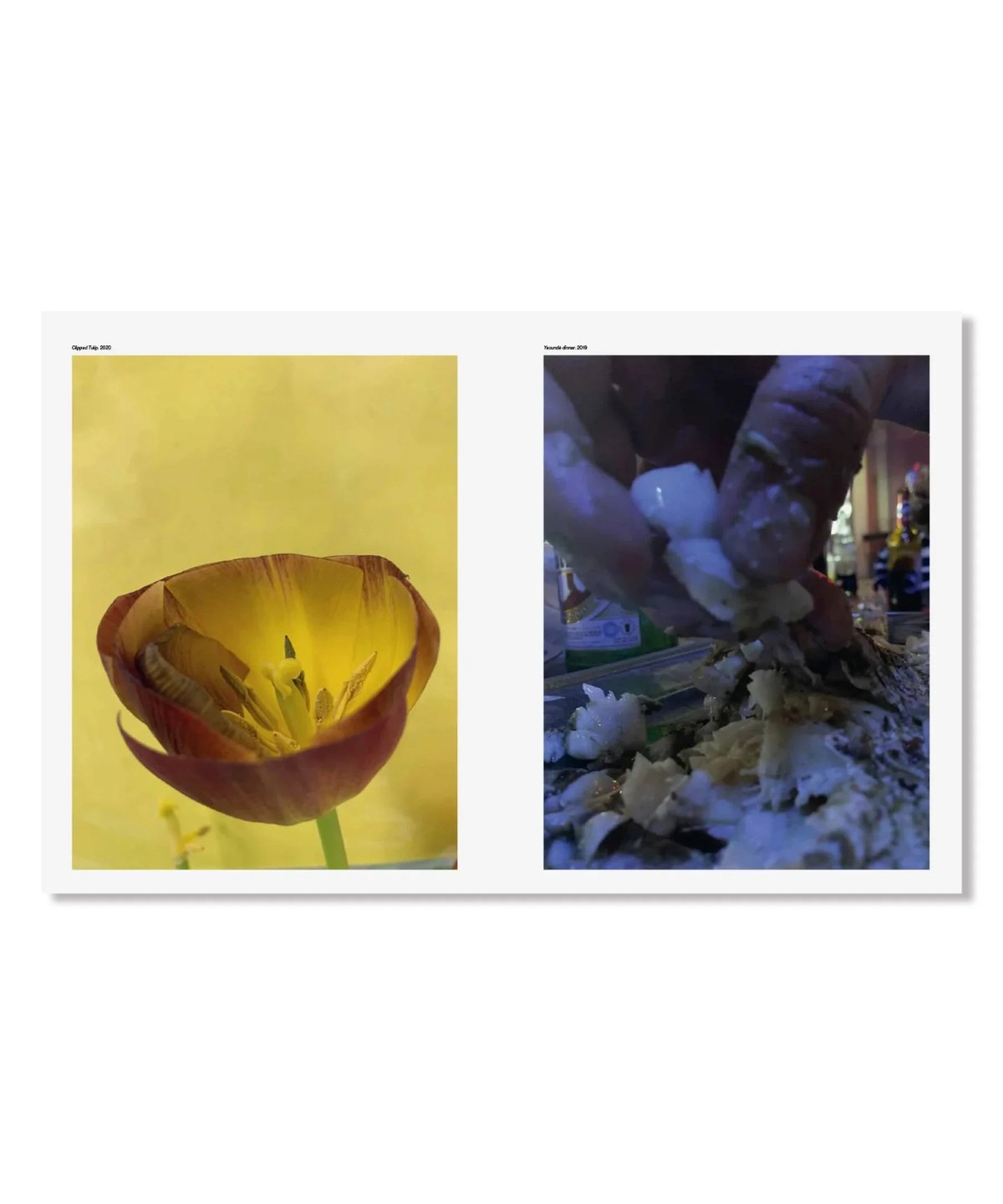 Rave ヴォルフガング・ティルマンス、マーク・フィッシャー 他 Rave ヴォルフガング・ティルマンス、マーク・フィッシャー 他