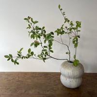 広川絵麻・6寸皿 | くらしのものsiro