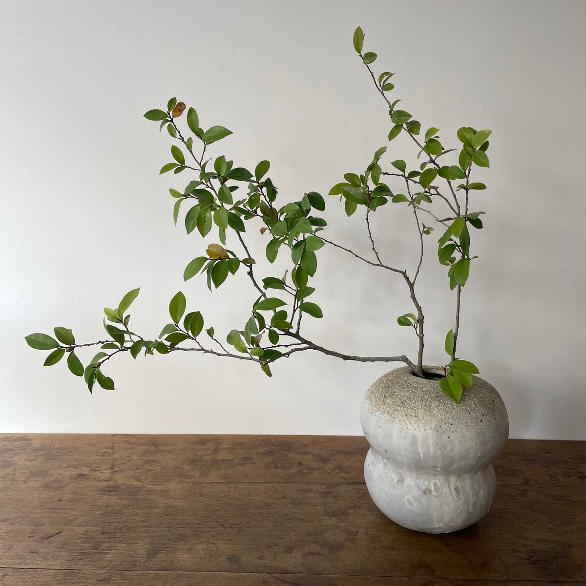 壺田亜矢作 陶器 花瓶 壷田和宏・亜矢 / 花器 （221） | くらしのものsiro