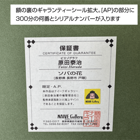 ピエゾグラフ[ソバの花] 受注生産品です。