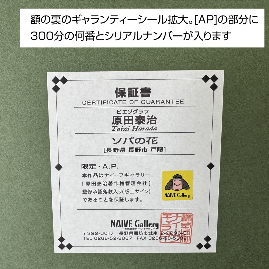 6a0fc5b7ccd49a1c70fd5dcd