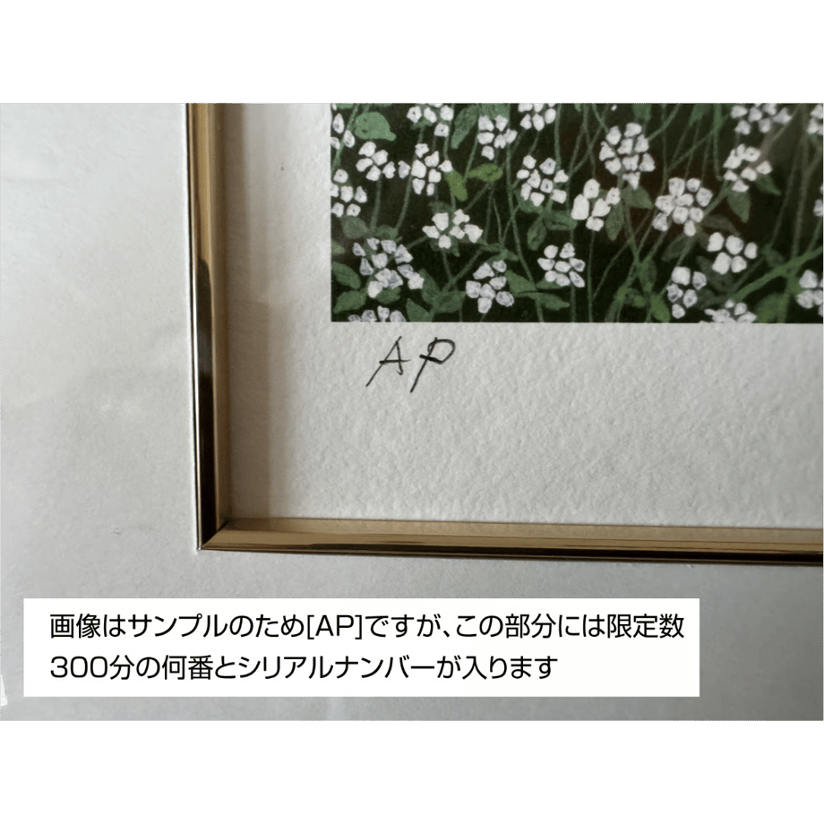 6a0fc5b7ccd49a1c70fd5dcd