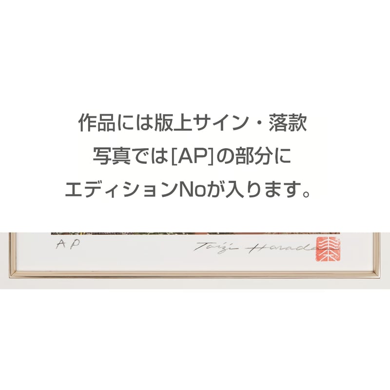 小さいピエゾグラフ「菜の花」 限定数50 | Taichan Shop