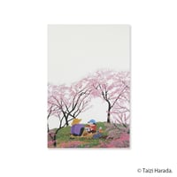【原田泰治】ぽち袋【新 モモの花】