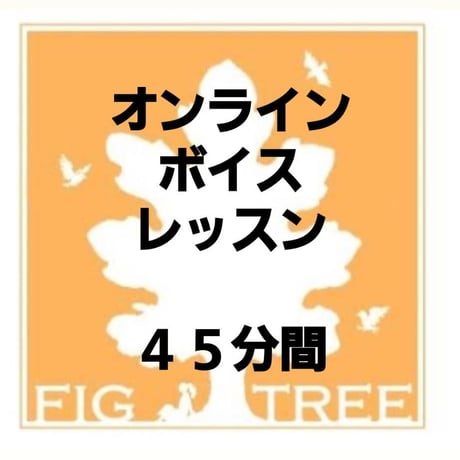 【オンラインレッスン】ボイスレッスン45分間