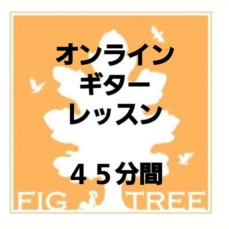 【オンラインレッスン】ギターレッスン45分間