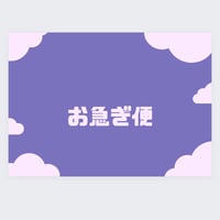 レターパックプラス発送