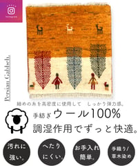 出展中 本物志向のイラン産  高密度  ペルシャギャッベ 手織り 272386 40cmx40cm