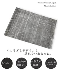 ウィルトン織りカーペット DP002 シンプルライン トープ