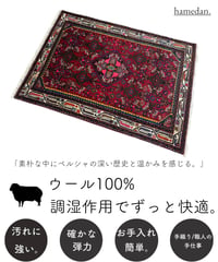 ペルシャ絨毯 手織りハマダン 270782 110cmx151cm