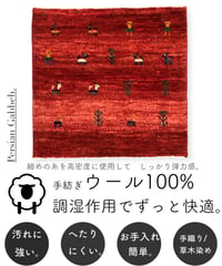 【出展中】本物志向のイラン産  高密度  ペルシャギャッベ 手織り 265920 40cmx40cm