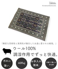 ペルシャ絨毯 手織り タブリス40Raj 269200 102x147cm