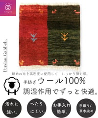 【出展中】本物志向のイラン産  高密度  ペルシャギャッベ 手織り 272426 40cmx40cm