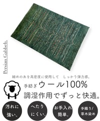 【出展中】本物志向のイラン産  高密度  ペルシャギャッベ 手織り 270920 72cmx105cm