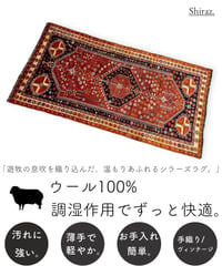 トライバルラグ シラーズ 手織り B531 125cmx247cm