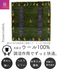 本物志向のイラン産  高密度  ペルシャギャッベ 手織り 272129 40cmx40cm