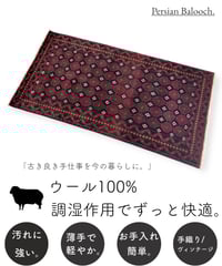 トライバルラグ バルーチ 手織り 264315 123cmx223cm | piece of