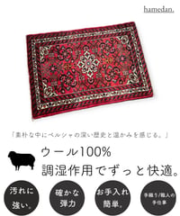 ペルシャ絨毯 手織りハマダン 28437 65cmx93cm