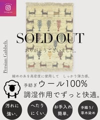 本物志向のイラン産  高密度  ペルシャギャッベ 手織り 265898 40cmx60cm