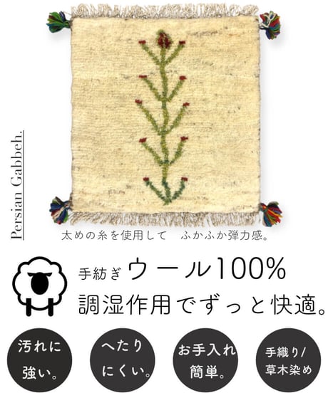 ペルシャギャッベ 手織り 265237 40cmx40cm