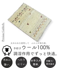【出展中】本物志向のイラン産  ペルシャギャッベ 手織り 268726 65cmx86cm