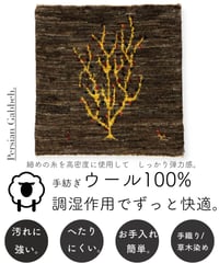 出展中 本物志向のイラン産  高密度  ペルシャギャッベ 手織り 266386 40cmx40cm