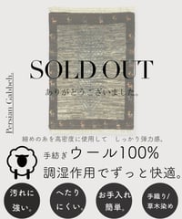 本物志向のイラン産  高密度  ペルシャギャッベ 手織り 272651 40cmx60cm